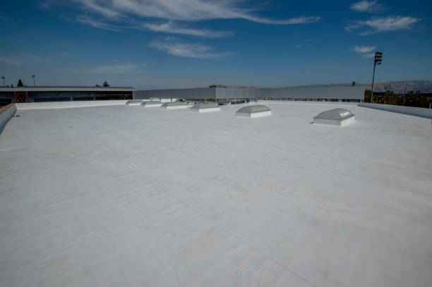 Best Asphalt Shingles Roofing  in Atkins, AR